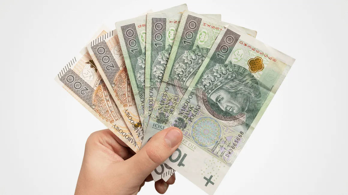 Ręka trzymająca banknoty polskich złotych
